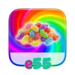e55